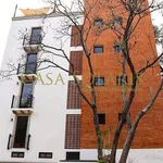 Rent 2 bedroom apartment in Guanajuato