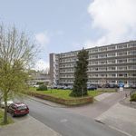 Huur 3 slaapkamer appartement van 75 m² in Naarden