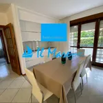 Rent 5 bedroom apartment of 75 m² in Seravezza