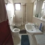 Rent 3 bedroom house of 55 m² in Pisa