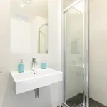 Rent 3 bedroom apartment in Prague