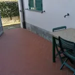 Rent 2 bedroom apartment of 50 m² in Pietrasanta