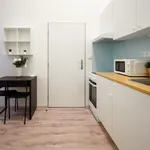 Rent 1 bedroom apartment in Brno