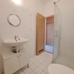 Rent 1 bedroom apartment in Opava