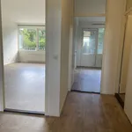 Rent 4 bedroom apartment in Badhoevedorp