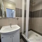 Rent 1 bedroom apartment of 27 m² in Brno