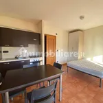 Rent 1 bedroom apartment of 40 m² in Mondovì