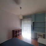 Alugar 5 quarto apartamento em Coimbra