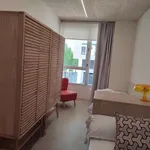 Alquilar 2 dormitorio apartamento en zaragoza