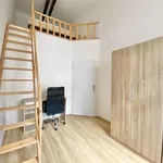 Rent 1 bedroom apartment in Brno