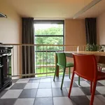 Rent 4 bedroom apartment of 107 m² in Rotterdam