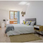 Rent a room of 200 m² in madrid