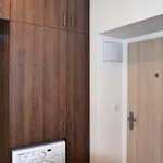 Rent 1 bedroom apartment of 23 m² in Brno