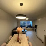 Rent 1 bedroom apartment in Dikkelvenne