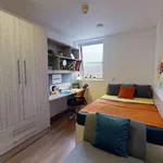 Rent 1 bedroom apartment in London