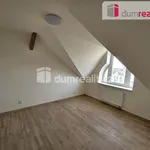 Rent 2 bedroom apartment in Plzeň