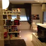 Rent 1 bedroom apartment of 45 m² in Roma