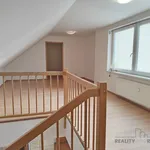 Rent 3 bedroom apartment of 1045 m² in Brno