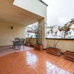 Rent 1 bedroom apartment in florence