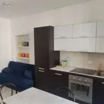 Rent 2 bedroom apartment of 55 m² in Milan