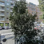 Rent 3 bedroom apartment of 70 m² in Milano