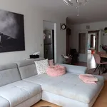 Rent 2 bedroom apartment in Antwerpen