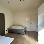 Rent 1 bedroom apartment in Leuven