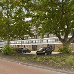 Rent 3 bedroom apartment of 59 m² in Amsterdam