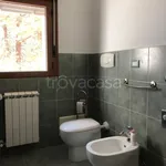 Rent 5 bedroom apartment of 110 m² in L'Aquila