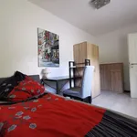 Rent 3 bedroom apartment of 50 m² in Cologne