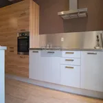 Rent 3 bedroom apartment of 63 m² in Lyon