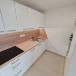 Pronajměte si 2 ložnic/e byt o rozloze 38 m² v Teplice