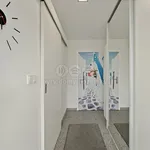 Rent 1 bedroom apartment of 33 m² in Ústí nad Labem