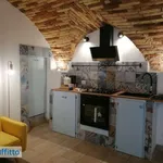 Loft arredato Montepagano