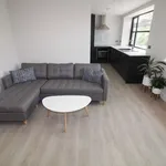 Rent 2 bedroom apartment in Yorkshire And The Humber