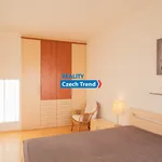 Rent 3 bedroom apartment in Olomouc