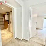 Rent 3 bedroom apartment of 60 m² in Praha