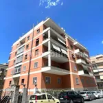 Rent 3 bedroom apartment of 70 m² in Roma