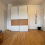 Rent 2 bedroom apartment of 50 m² in Karlsruhe