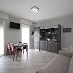 Rent 2 bedroom apartment of 55 m² in Monza