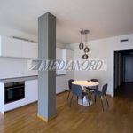 Rent 1 bedroom apartment of 50 m² in Bergamo