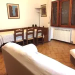 Rent 6 bedroom apartment of 120 m² in Pietrasanta