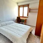 Rent a room in alicante