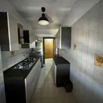 Rent 2 bedroom apartment of 80 m² in Rome