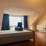 Rent a room of 120 m² in Den Haag