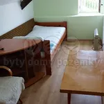 Rent 1 bedroom apartment of 8 m² in Krčmaň