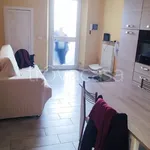 Rent 2 bedroom apartment of 48 m² in Piacenza