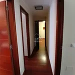 apartment for rent in la zona de Santa Cecilia