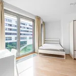 Pronajměte si 1 ložnic/e byt o rozloze 44 m² v Prague