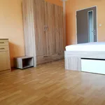 Rent 1 bedroom apartment in Jihlava